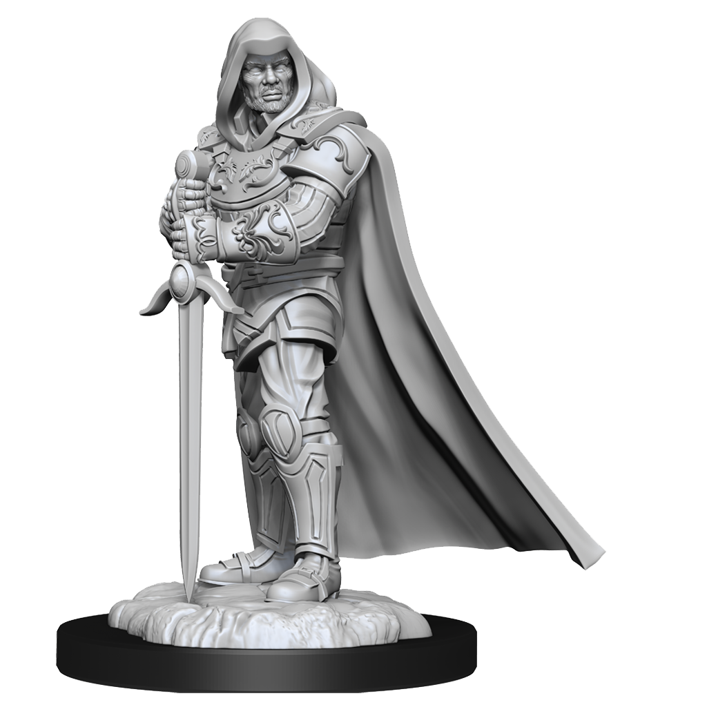 Wizkids Nolzur's Marvelous Miniatures: Human Paladin Male