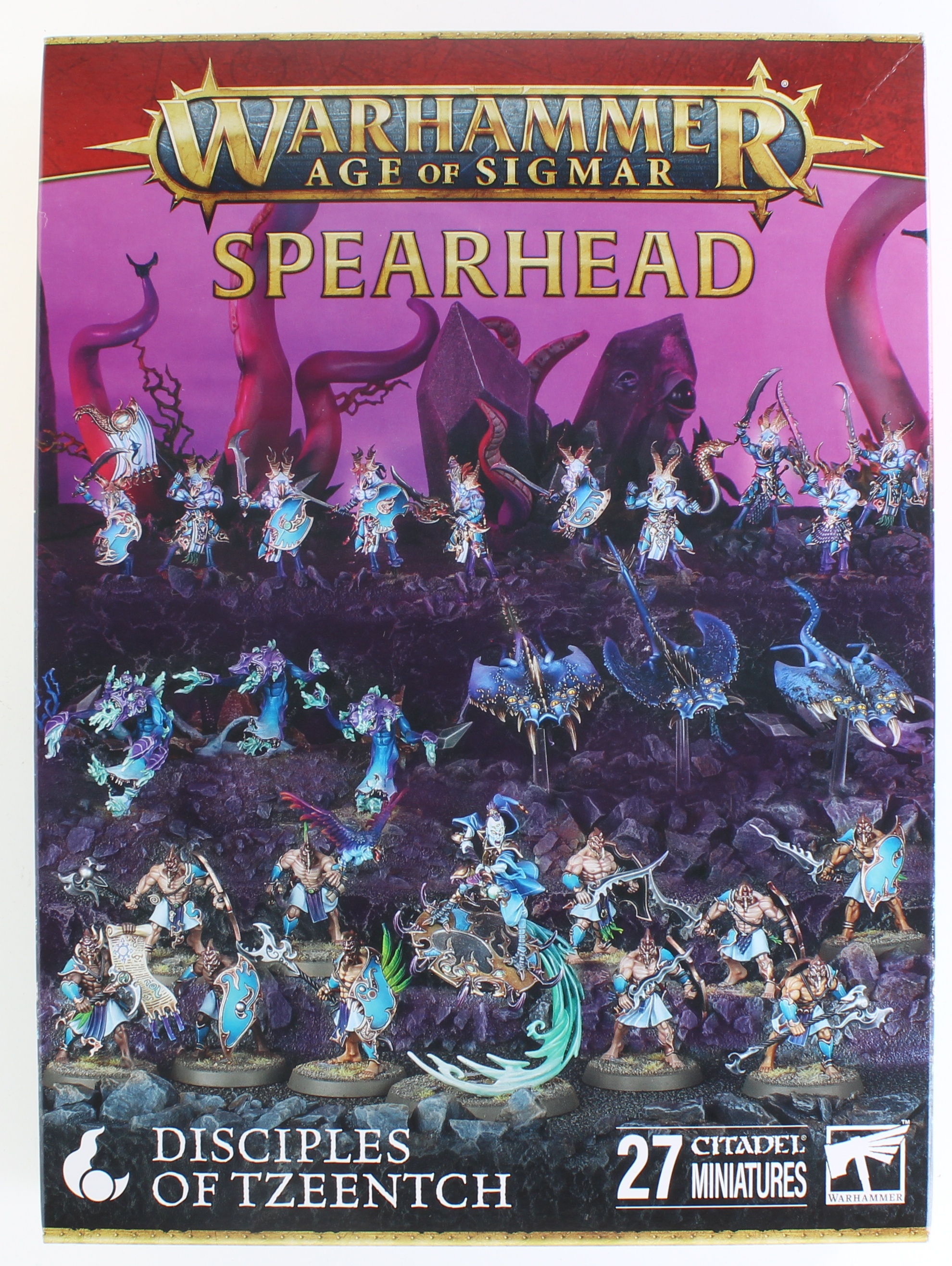 warhammer Disciples of Tzeentch ジャンクセット 162730603.jpg