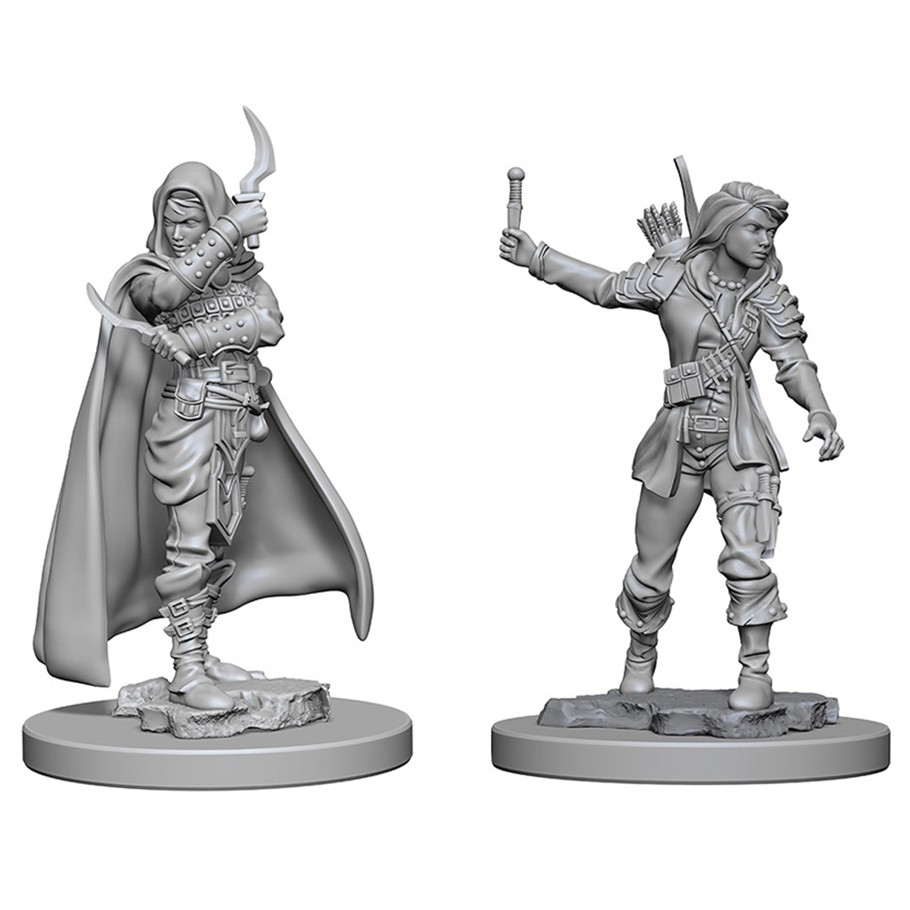 Wizkids Pathfinder Deep Cuts: Human Female Rogue